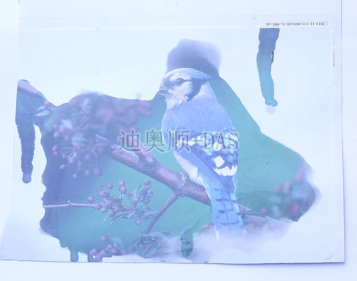 遇水变透明油墨